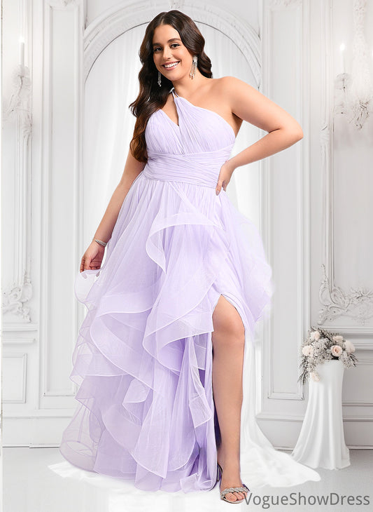 Ciara Ball-Gown/Princess Asymmetrical One Shoulder Floor-Length Tulle Prom Dresses DLP0025867