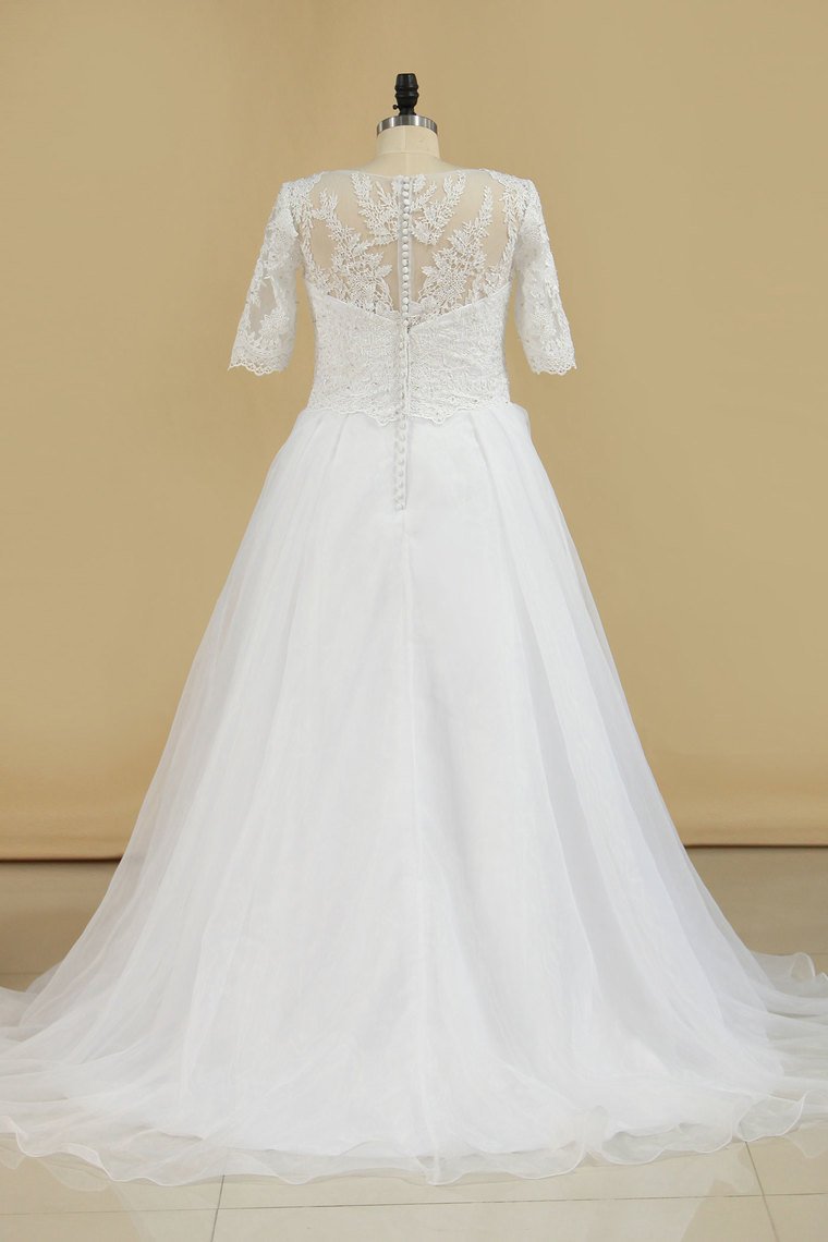 2024 Mid-Length Sleeves Scoop Wedding Dresses A Line With Applique Organza