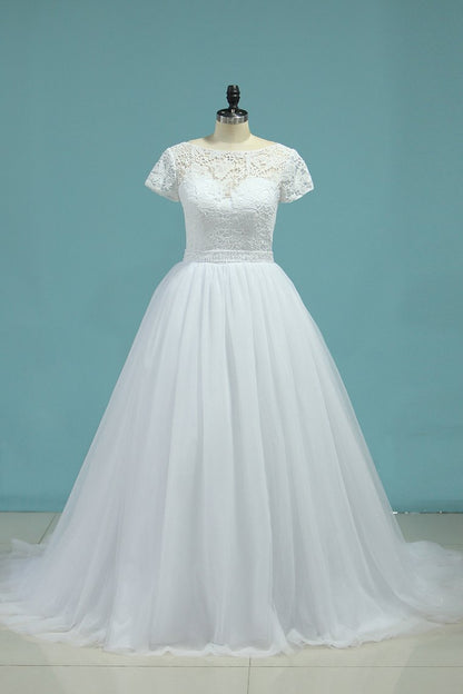 2024 Bateau Wedding Dresses A-Line Tulle Cap Sleeves Zipper Back Court Train