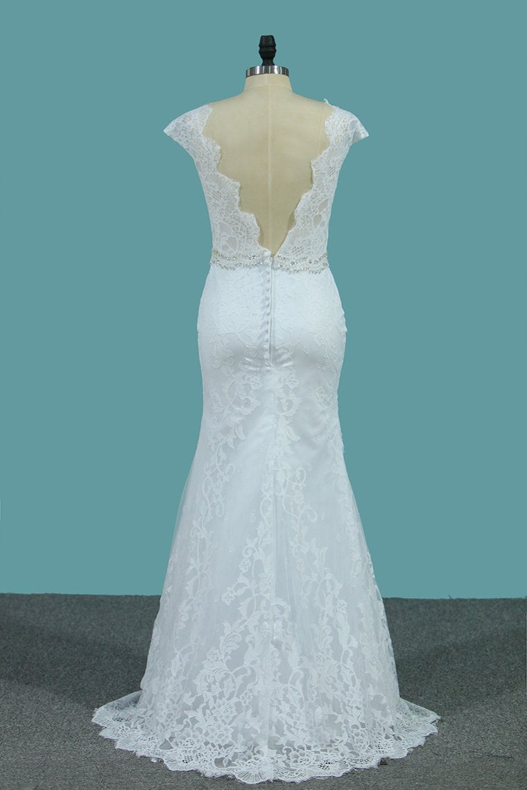 Lace Wedding Dresses Scoop With Beaded Waistline Covered Button Open Back