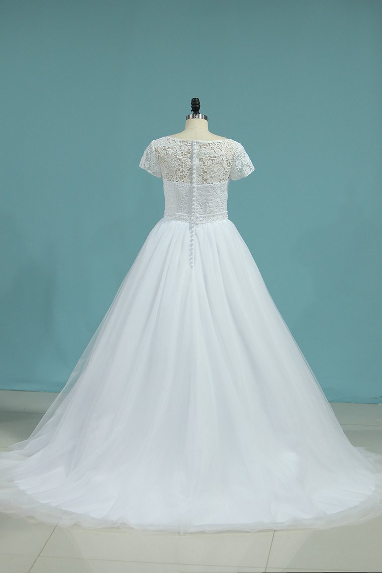 2024 Bateau Wedding Dresses A-Line Tulle Cap Sleeves Zipper Back Court Train