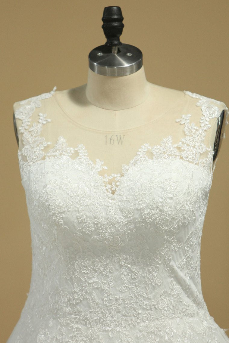 Wedding Dresses A Line V Neck With Applique Chapel Train