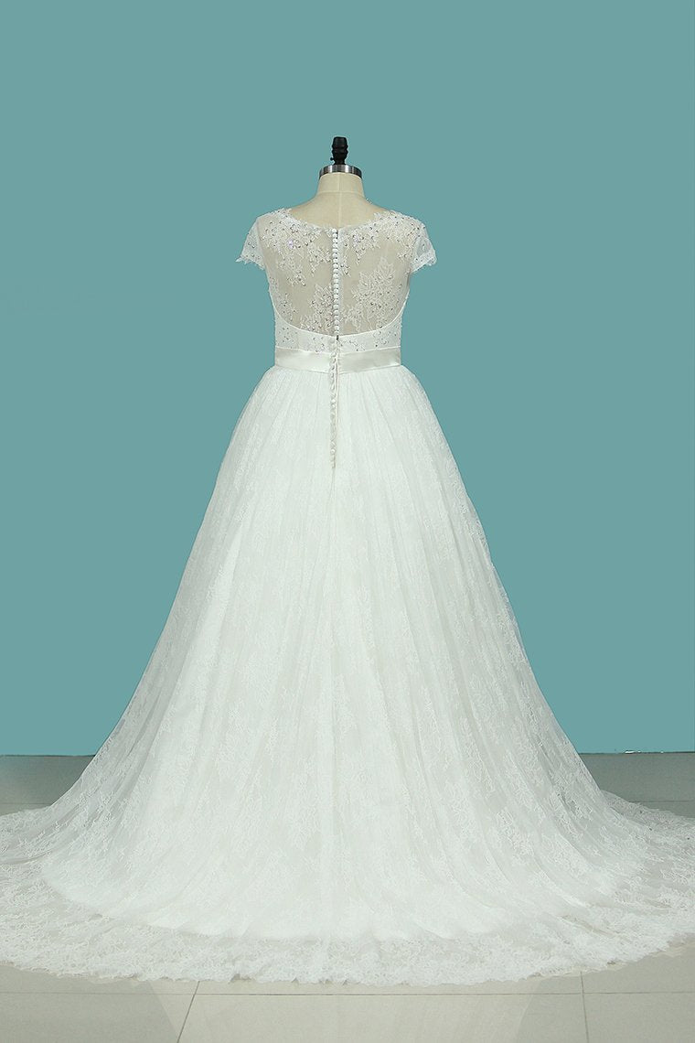 Wedding Dresses A Line V Neck Lace & Tulle With Sash Sweep Train