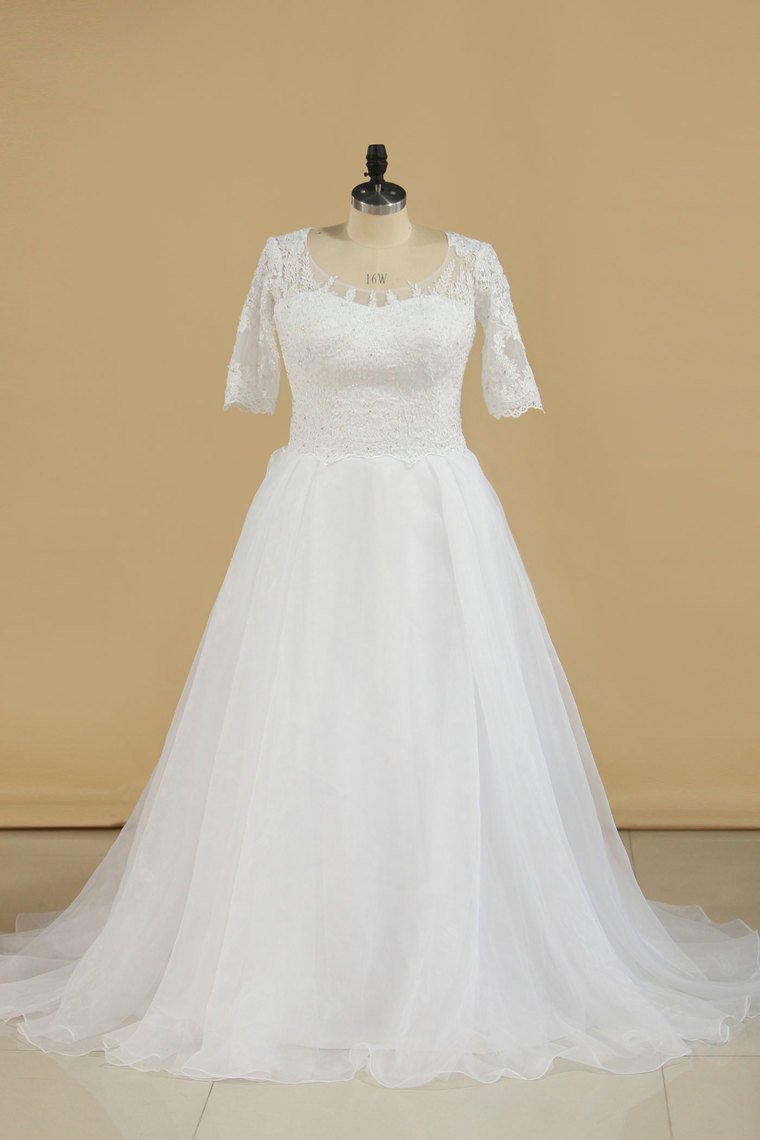 2024 Mid-Length Sleeves Scoop Wedding Dresses A Line With Applique Organza