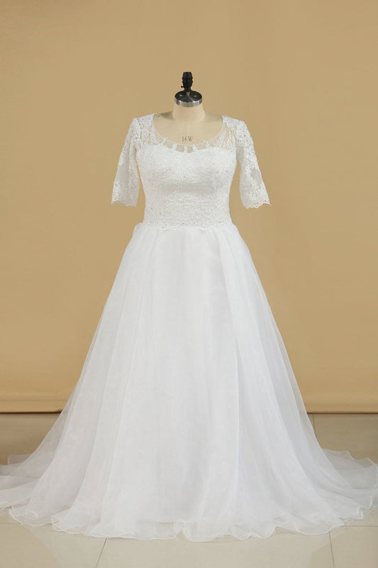 2024 Mid-Length Sleeves Scoop Wedding Dresses A Line With Applique Organza