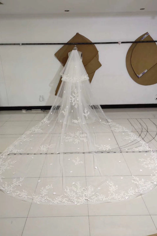 3M Long Embroidered Lace Appliques Tulle Cathedral Veil for Wedding, Wedding Veils SRS14988